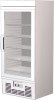 Шкаф морозильный R700LSG (гнутая стеклянная дверь)